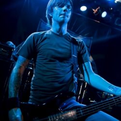 Evergreen Terrace