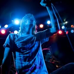 Evergreen Terrace