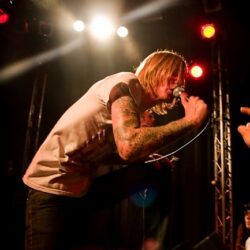 Evergreen Terrace