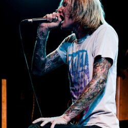Evergreen Terrace