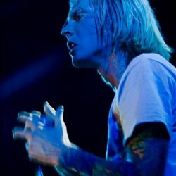 Evergreen Terrace