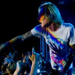 Evergreen Terrace