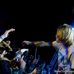 Evergreen Terrace