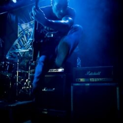 Evergreen Terrace