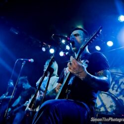 Evergreen Terrace