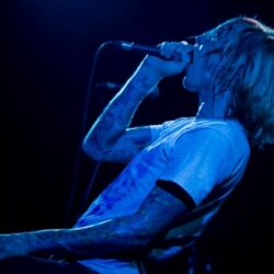 Evergreen Terrace