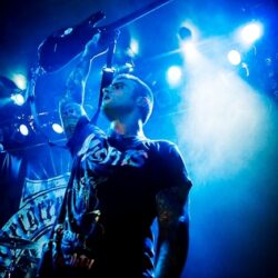 Evergreen Terrace