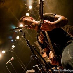 Evergreen Terrace