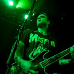 Evergreen Terrace