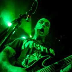 Evergreen Terrace