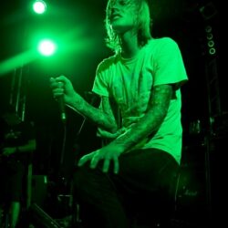 Evergreen Terrace