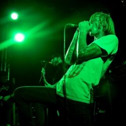Evergreen Terrace