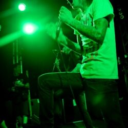Evergreen Terrace