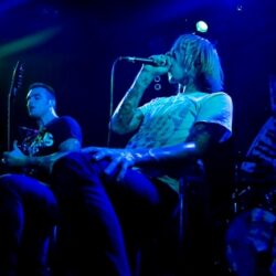 Evergreen Terrace