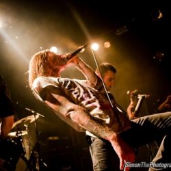 Evergreen Terrace