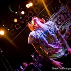 Evergreen Terrace