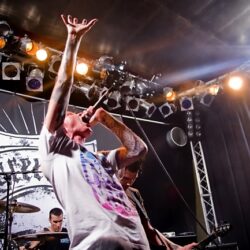 Evergreen Terrace