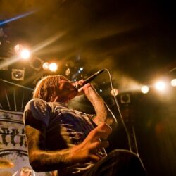 Evergreen Terrace