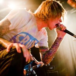 Evergreen Terrace
