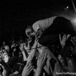 Evergreen Terrace