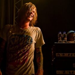 Evergreen Terrace