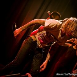 Evergreen Terrace