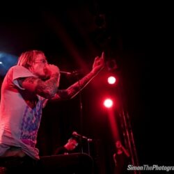 Evergreen Terrace
