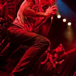 Evergreen Terrace