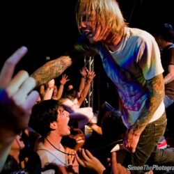 Evergreen Terrace
