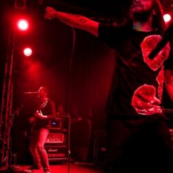 The Used