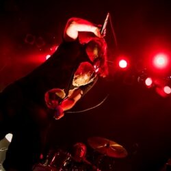 The Used