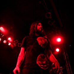 The Used
