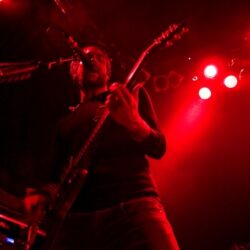 The Used