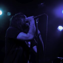 The Used