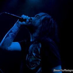 The Used