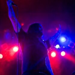 The Used
