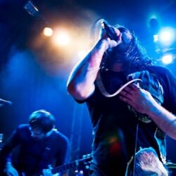 The Used
