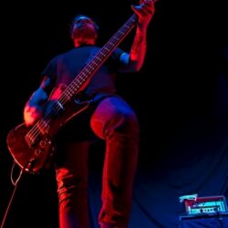 Cancer Bats