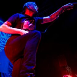 Cancer Bats