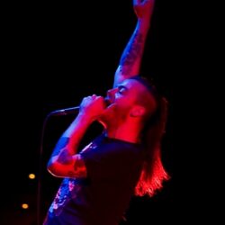 Cancer Bats