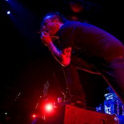 Cancer Bats