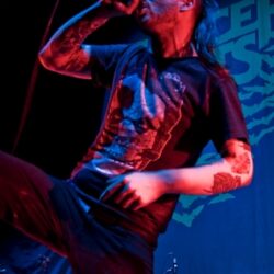 Cancer Bats