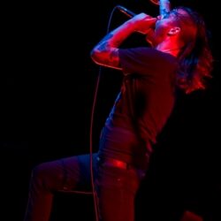 Cancer Bats
