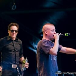 img_8454x